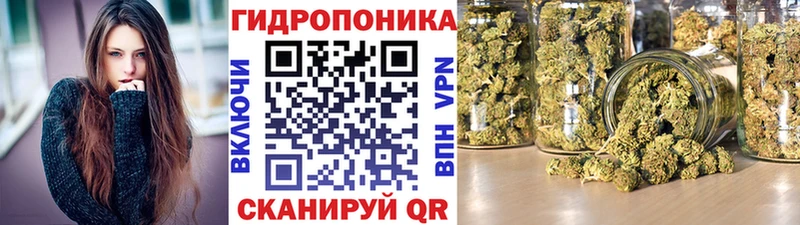 Шишки марихуана OG Kush Сатка